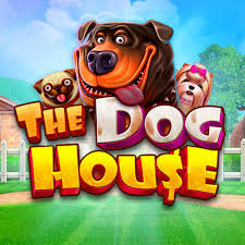 The Dog House The Dog House